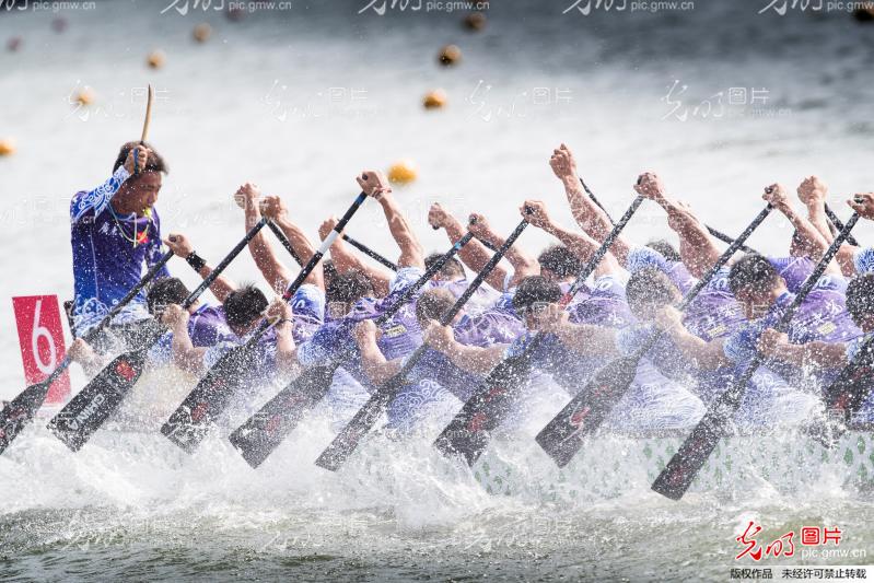 湖南龍船比賽視頻觀看與體驗(yàn)指南，精彩瞬間一網(wǎng)打盡！