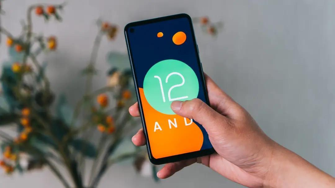 安卓最新系統(tǒng)版本，探索未來科技的無限潛力