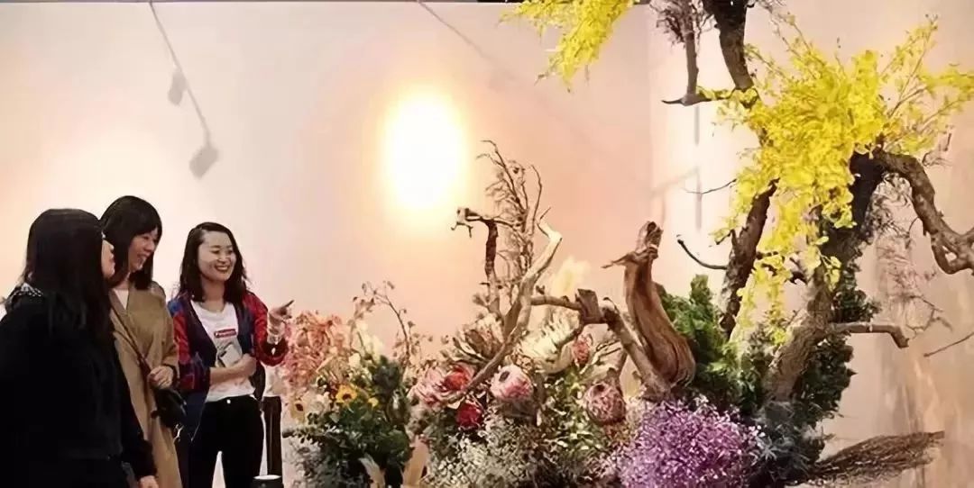 納蘭靜語最新現(xiàn)代作品——智能生活新紀元，科技重塑未來體驗的魅力