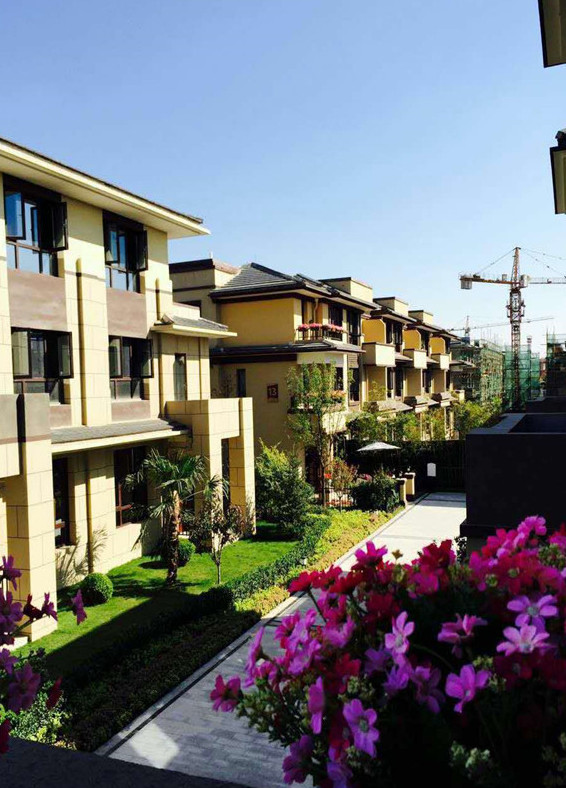 寶格麗小鎮(zhèn)最新資訊，學(xué)習(xí)變化，自信閃耀，共創(chuàng)美好未來(lái)成就