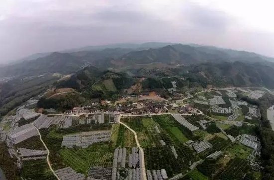 廣西昭平最新資訊，高科技產品引領未來，提升生活品質