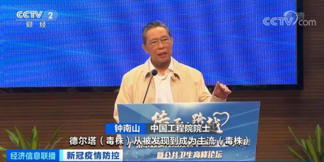 海航系最新動(dòng)態(tài)深度解析與觀點(diǎn)論述