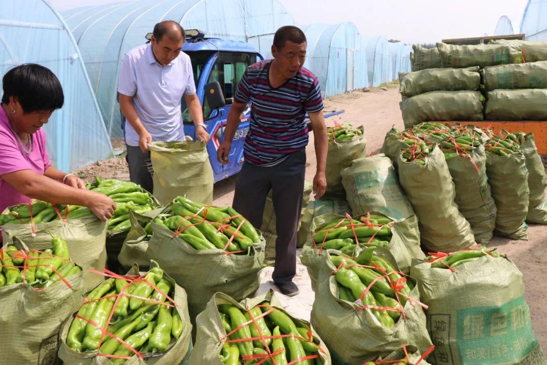 最新黨建資訊與科技創(chuàng)新產(chǎn)品的介紹