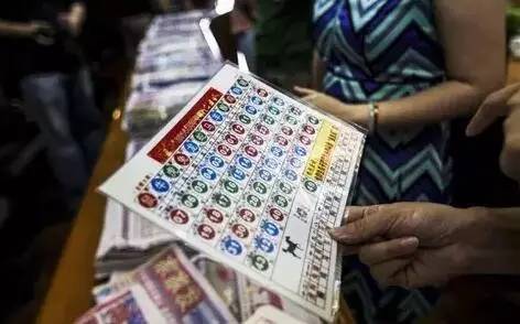 ＂2024香港歷史開獎結(jié)果與記錄＂的：全面設(shè)計實施_旅行助手版5.56