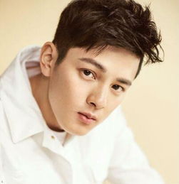 方齊苗最新個人資料揭秘，個人信息獲取與整理步驟指南