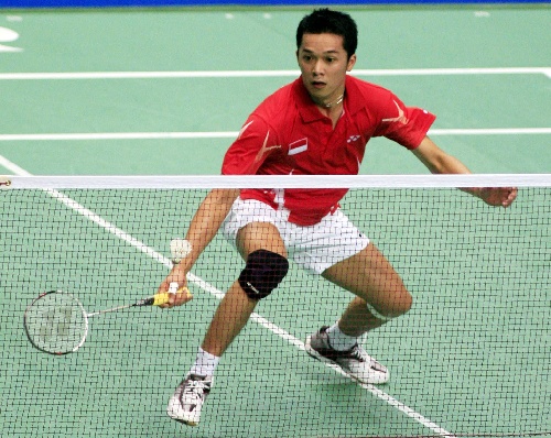 陶菲克羽毛球比賽視頻，觀看與學(xué)習(xí)指南