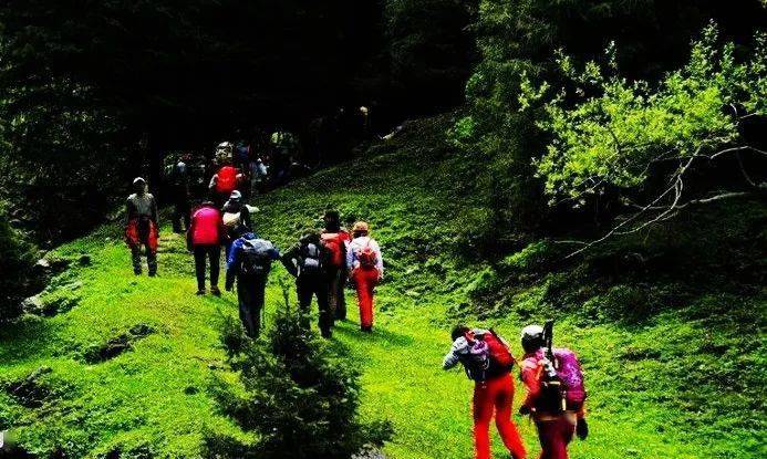 最新后峽動(dòng)態(tài),最新后峽動(dòng)態(tài)，發(fā)展與變化的深度探索