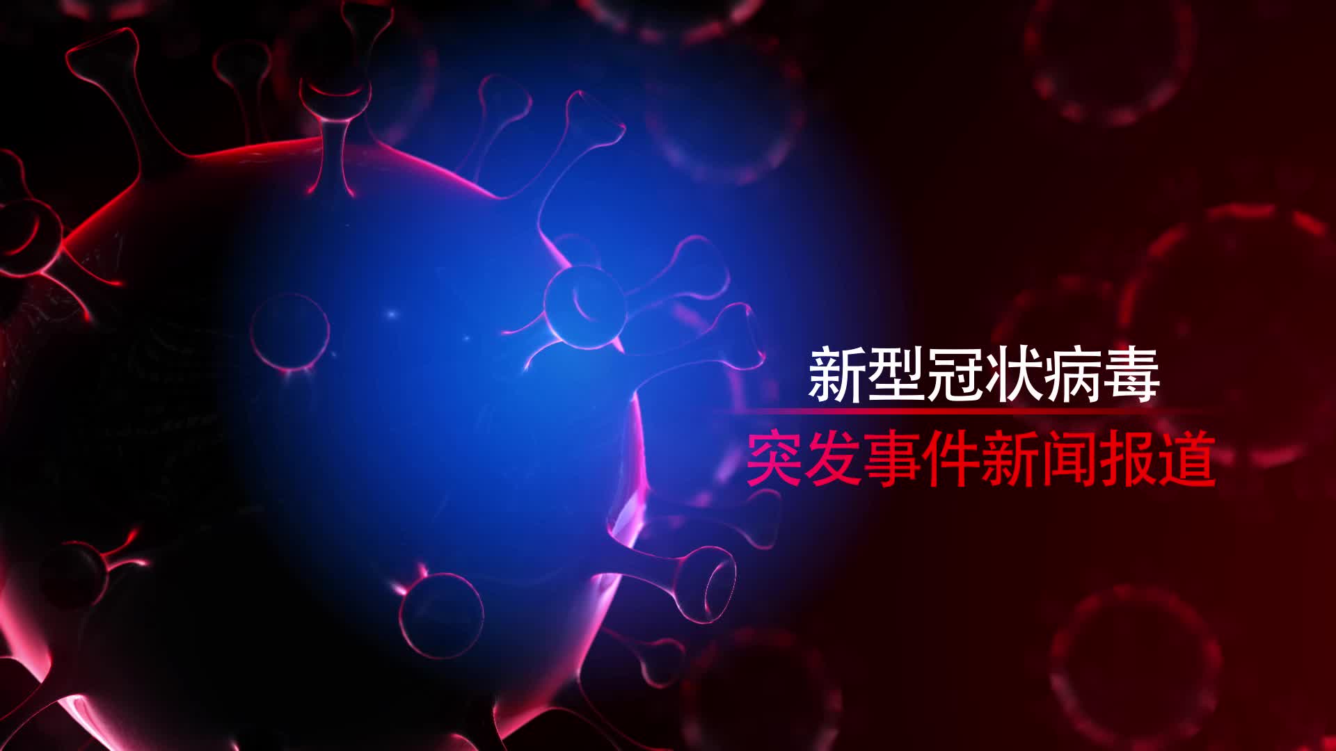 最新病毒動(dòng)態(tài)與小巷深處的獨(dú)特風(fēng)味