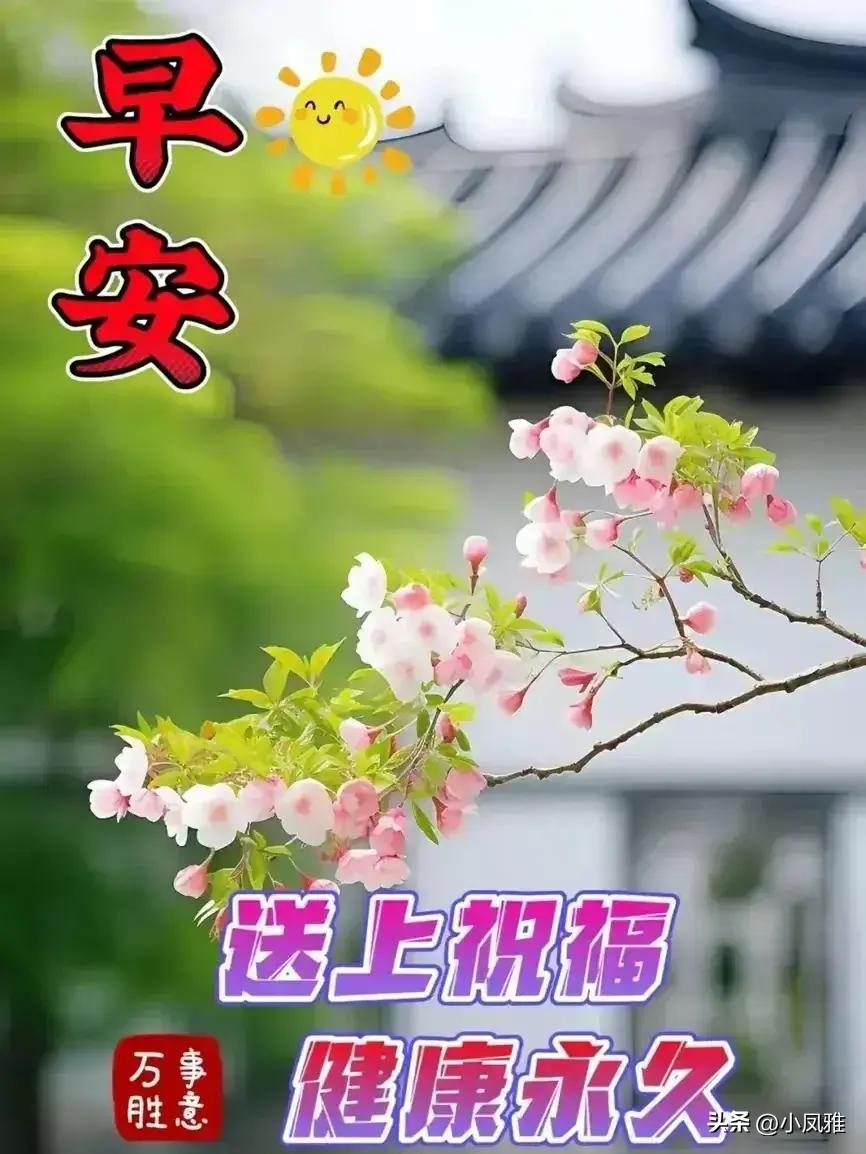 ＂2024年天天彩資料免費(fèi)大全＂的：專(zhuān)業(yè)數(shù)據(jù)解釋設(shè)想_防御版9.86