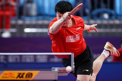 中國乒乓球明星的奮斗與榮耀，見證自信成就的力量之路