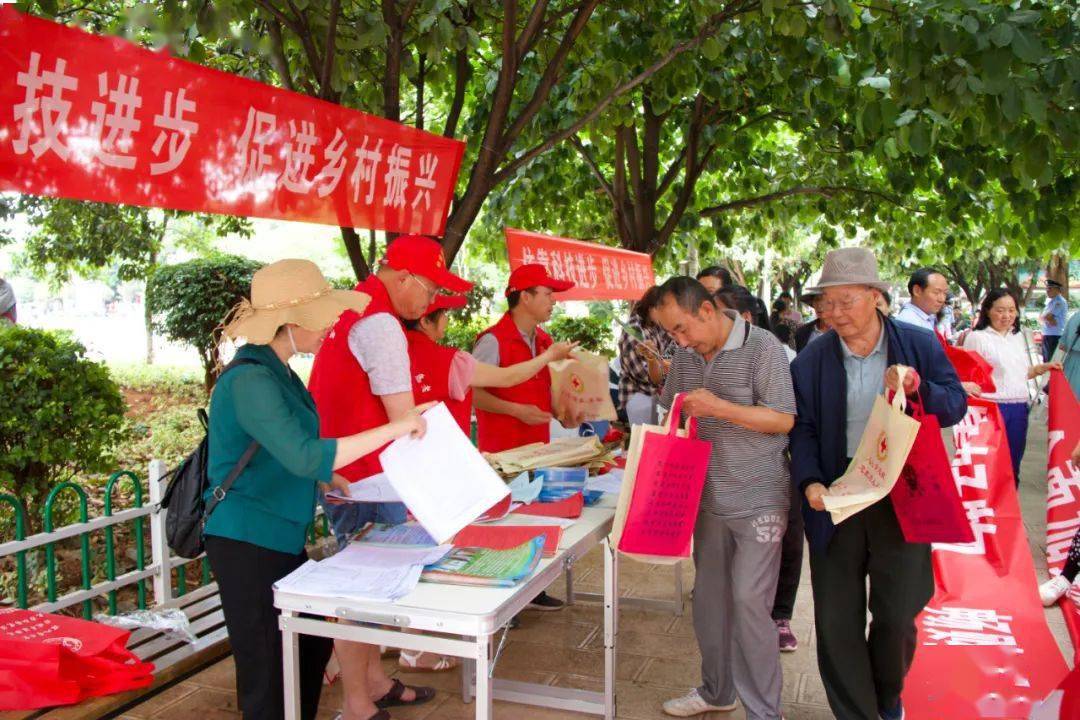 ＂2024年正版免費天天開彩＂的：科技成果解析_增強版2.99