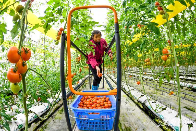 江西宜春小巷深處的獨特風(fēng)味小店驚艷亮相最新新聞