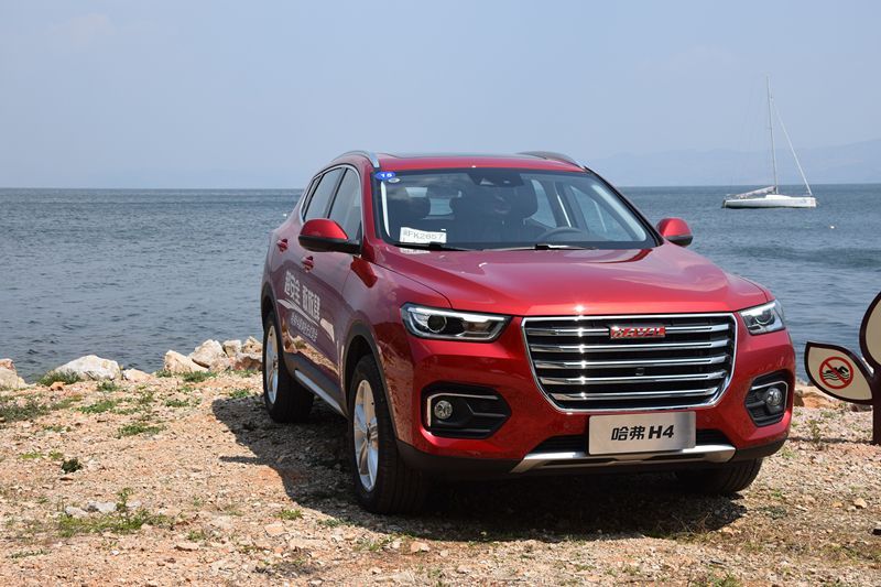 哈佛最新，自然美景治愈之旅探索