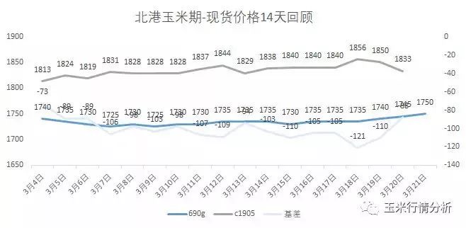 今日玉米最新收購價格與市場深度走勢分析