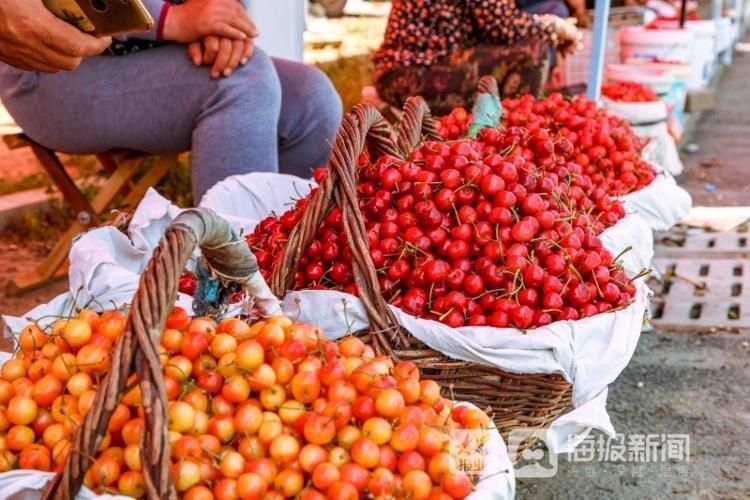 煙臺(tái)櫻桃上市,煙臺(tái)櫻桃上市，小巷深處的甜蜜誘惑
