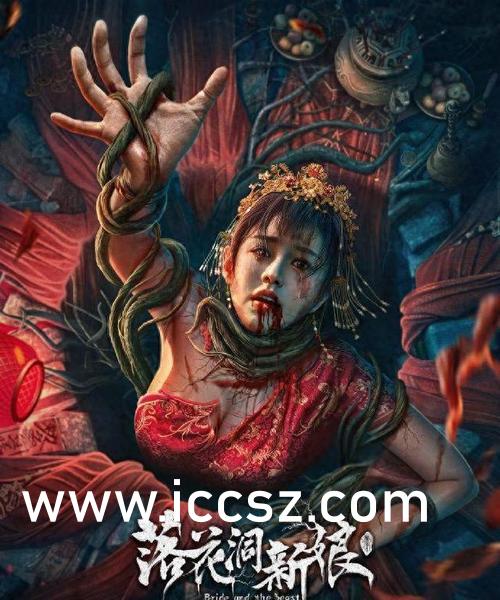 Seso最新資訊詳解，獲取與理解步驟指南