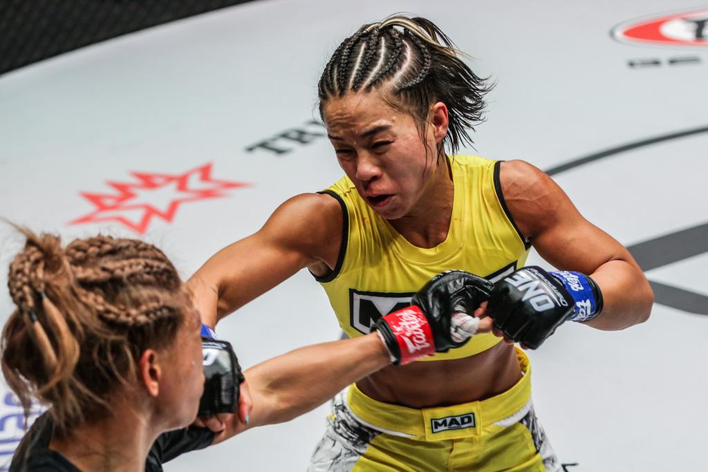 綜合格斗比賽，自然美景中的精神之旅對(duì)決