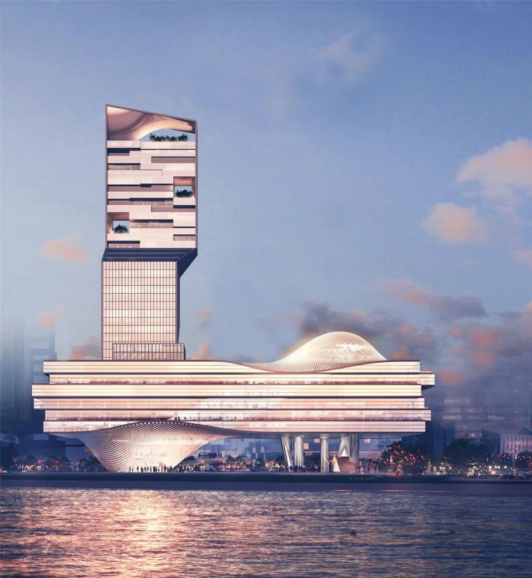 中興通訊股票解析，夢(mèng)想與友情的交織故事