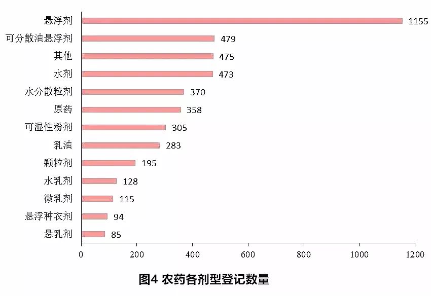 三七未來行情，自然美景中的旅行探索之旅