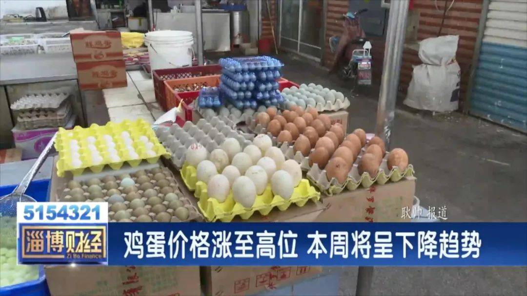卓創(chuàng)雞蛋價格行情最新動態(tài)