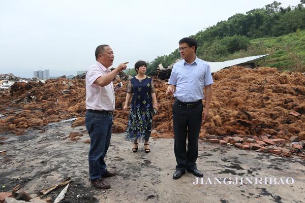 珞璜工業(yè)園規(guī)劃更新啟動(dòng)，重塑產(chǎn)業(yè)生態(tài)藍(lán)圖