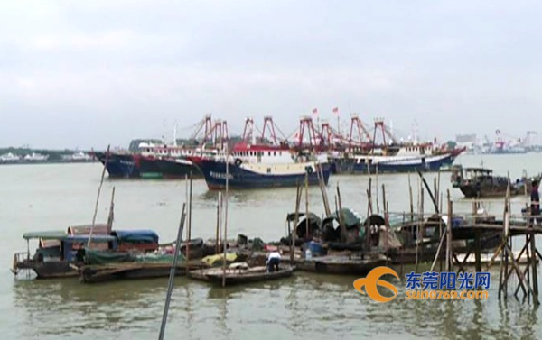 最新漁船更新補(bǔ)貼政策及步驟指南解讀