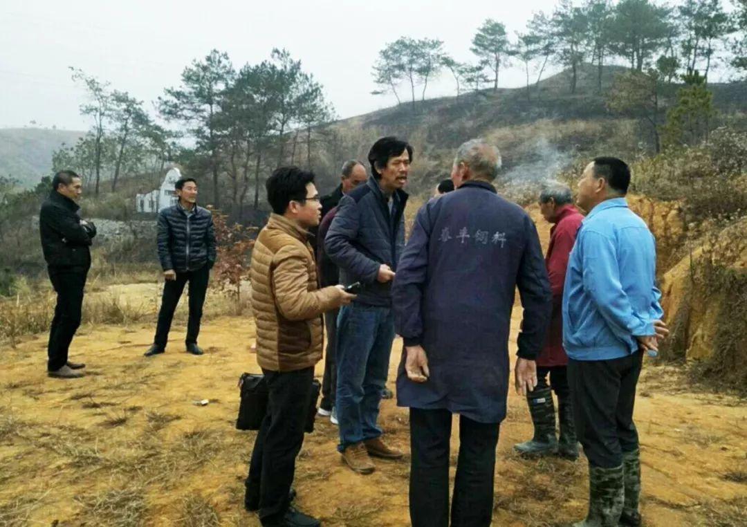 金牌調(diào)解精選，心靈與自然的完美邂逅