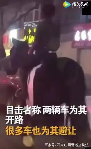 騎馬圖片動漫,騎馬圖片動漫——高科技產(chǎn)品的新紀(jì)元體驗(yàn)