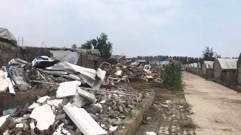 楊鎮(zhèn)拆遷最新動(dòng)態(tài)，科技引領(lǐng)重塑，開(kāi)啟拆遷新篇章體驗(yàn)