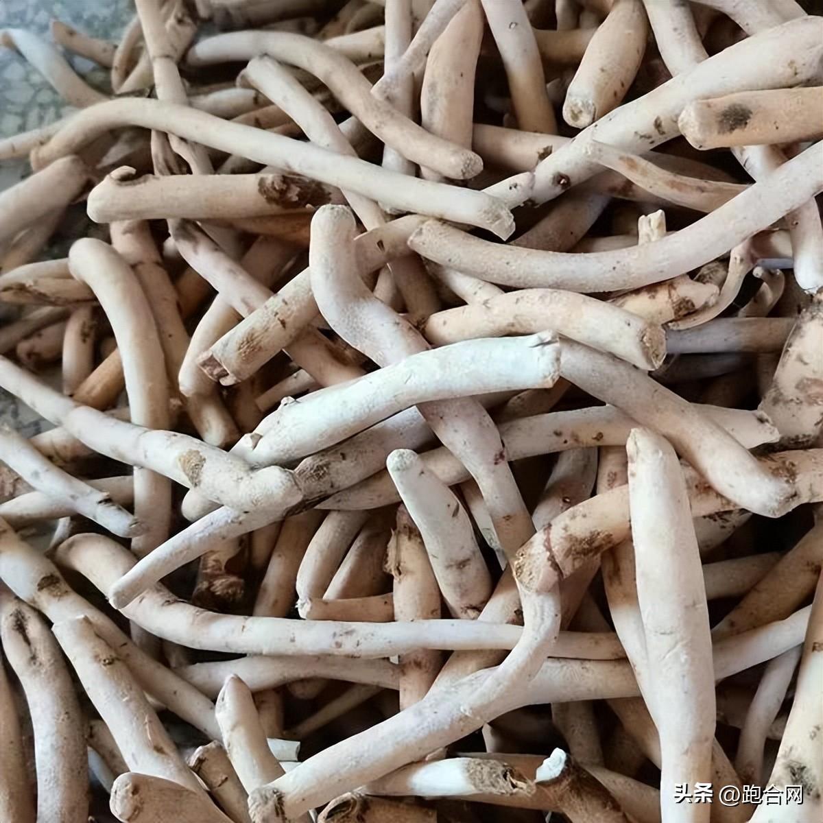 毫州藥材最新價格表，學習變化，成就自信之源