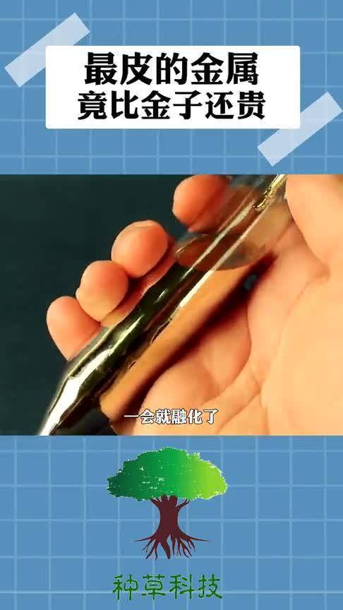 貴重金屬行情深度解析，市場趨勢與影響因素探討