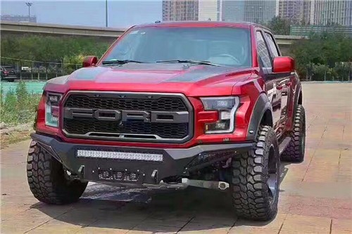 最新猛禽款式，與自然共舞的心靈旅行啟示