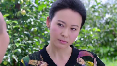 雙喜盈門演員，星光熠熠下的演技璀璨展現