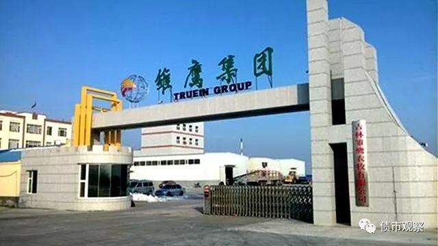 雛鷹農牧最新動態(tài)，變革中的力量與自信成就感的崛起