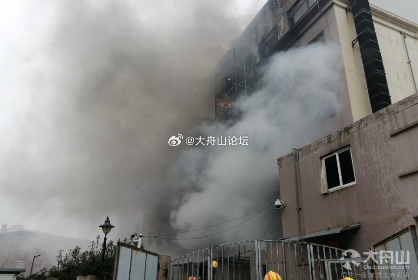 舟山火災(zāi)最新動態(tài)，小巷深處的獨特?zé)熁鹞C(jī)