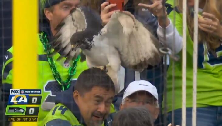 比賽吉祥物，自信與成就感的象征標志