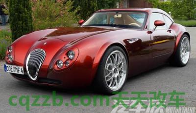 最新威茲曼解析及觀點論述綜述