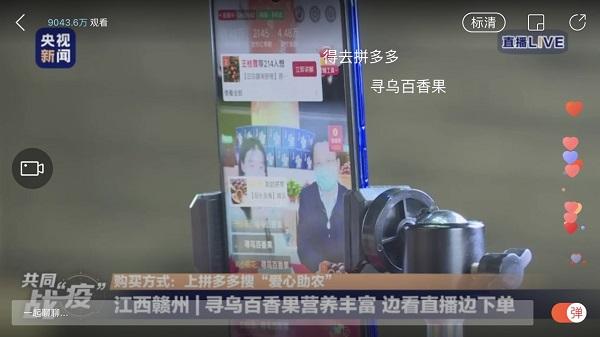 尋烏最新資訊深度解析，觀點(diǎn)闡述與最新動(dòng)態(tài)報(bào)告