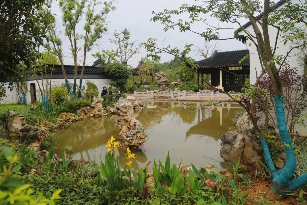 南寧園搏園最新動態(tài)揭秘，游園攻略與技能學(xué)習(xí)指南