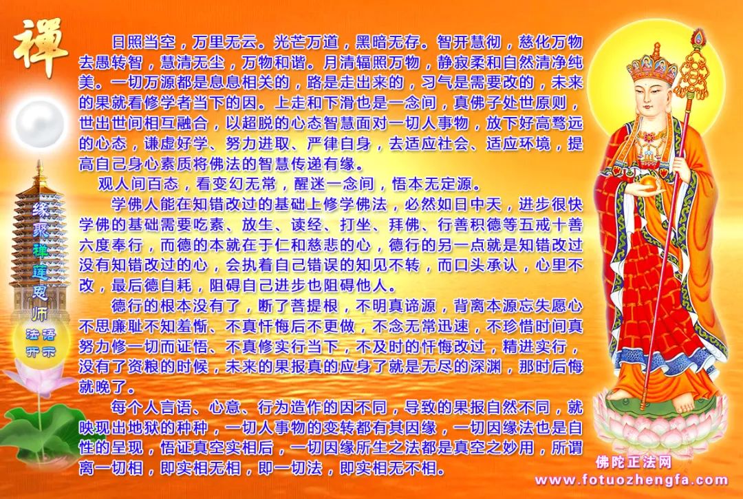 最新佛法開(kāi)示揭秘，小巷深處的禪意寶藏探尋