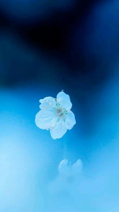 最新手機(jī)屏保圖片精選，愛的紐帶與溫馨日常之美