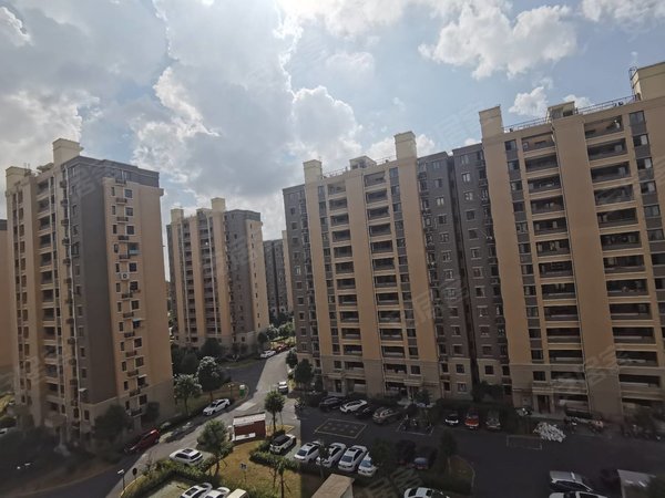 佘山松和苑最新動(dòng)態(tài)，全面了解與掌握最新資訊