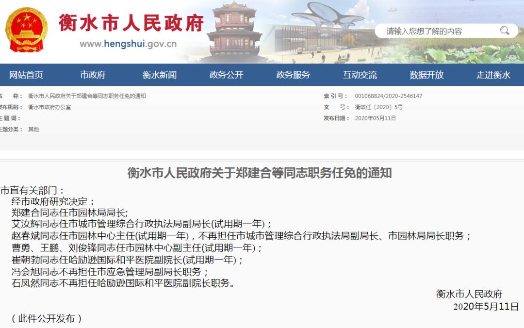 衡水市人事任免最新公告通知