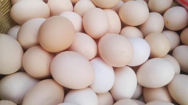 浙江雞蛋行情深度解析與預(yù)測(cè)報(bào)告