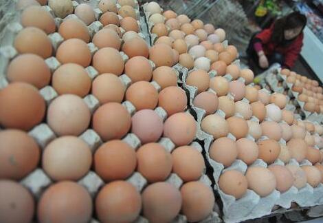 浙江雞蛋行情深度解析與預(yù)測(cè)報(bào)告