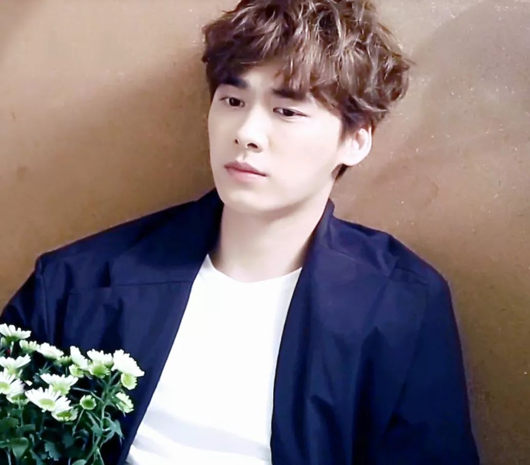 有耳鳴的明星,有耳鳴的明星，探索自然美景之旅，尋找內(nèi)心的寧靜與平和