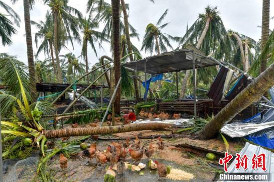 文昌臺風(fēng)最新消息,????文昌臺風(fēng)最新消息?????緊急通知！