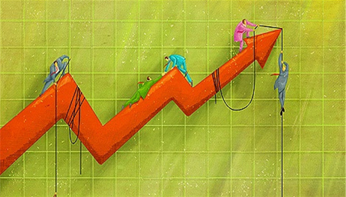 證金公司股票動態(tài),證金公司股票動態(tài)，一場自然美景的探索之旅