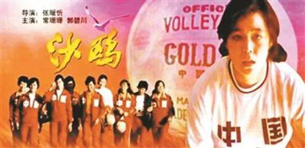 沙鷗電影,沙鷗電影，一種藝術(shù)表達(dá)方式的深度探討