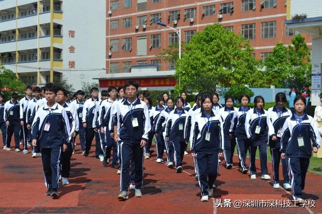 深寶安股票行情解析，前景分析與投資洞察